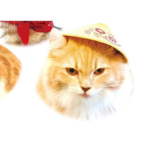 ネコス キュートなねこの世界旅行 5：ベトナム グレイ・パーカー・サービス BOXフィギュア 猫 か...