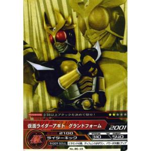 BANDAI（バンダイ） ARカードダス 集結、仮面ライダー 第6弾 No.06-02