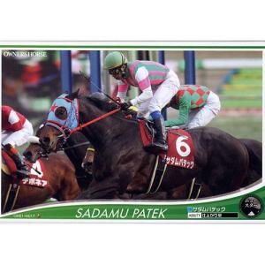 オーナーズホース　ディープインパクト　ナリタブライアン オーナーズホースディープインパクトナリタブライアン