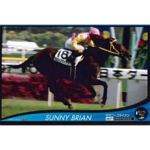BANDAI（バンダイ） オーナーズホース03 H035：キタノカチドキ(年度