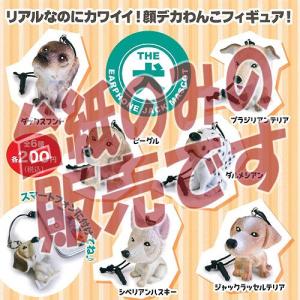 【非売品ディスプレイ台紙】THE 犬 イヤホンジャックマスコット ビーム ガチャポン｜yuyou