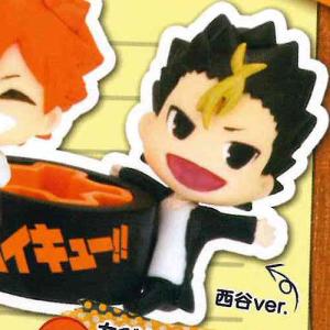 ハイキュー 振り向き シャイニー 缶バッジ 全10種+ディスプレイ台紙