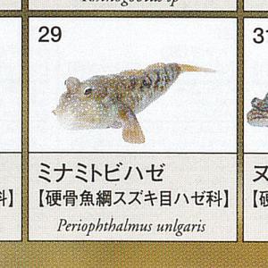 エポック社（EPOCH） カプセルフィギュア 読売巨人軍バージョン 全8種
