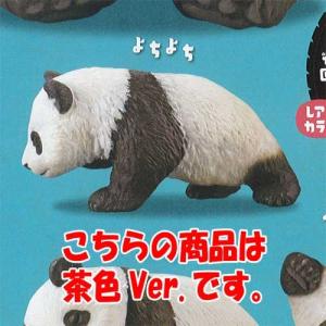 子パンダ日和 ハーフ 4種セット C アミュームショップ 通販 Yahoo ショッピング