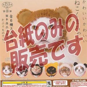ねこのかぶりもの 第14弾 かわいいかわいい ねこくまちゃん 奇譚クラブ ガチャポン