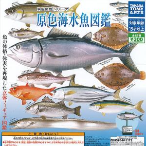 魚図鑑 コミック アニメ食玩 の商品一覧 食玩 プライズ カプセル ゲーム おもちゃ 通販 Yahoo ショッピング