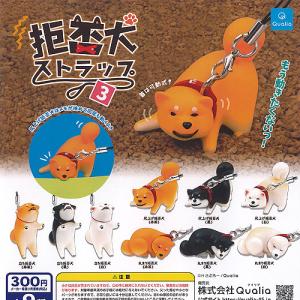 甲虫王者 ムシキング ムシ フィギュア コレクション 3 アダー