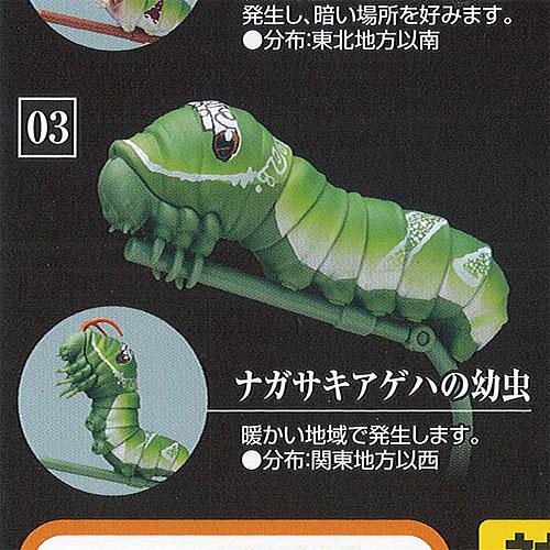 いきもの大図鑑 いもむし IMOMUSHI 3：ナガサキアゲハの幼虫 バンダイ ガチャポン ガチャガ...