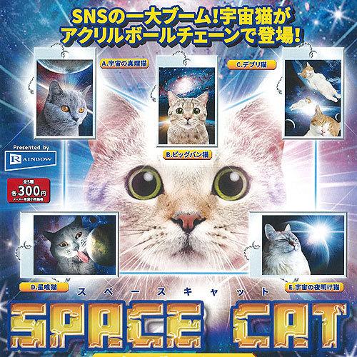 スペース キャット アクリル ボールチェーン 全5種セット レインボー ガチャポン ガチャガチャ ガ...