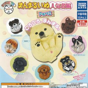 ポケモンカードゲーム サン&ムーン 072/060 ロトム図鑑 (UR
