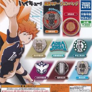 ハイキュー 繋ぐ グリッター 缶バッジ side B 全8種セット スタンド