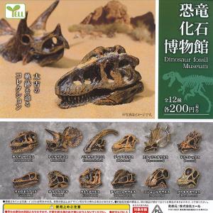 恐竜 カプセル ガチャガチャ カプセル ゲーム おもちゃ の商品一覧 通販 Yahoo ショッピング