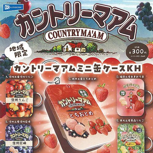 地域限定 カントリーマアム ミニ 缶ケース KH 全5種+ディスプレイ台紙セット レインボー ガチャ...