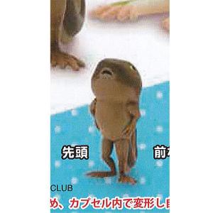 並べ隊 整列 アマガエル 1：先頭 奇譚クラブ ガチャポン ガチャガチャ ガシャポン