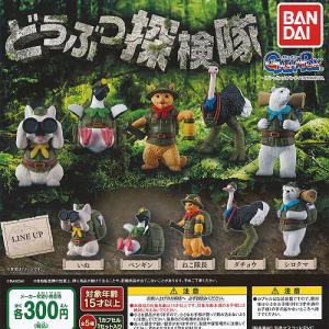 どうぶつ 探検隊 全5種セット 1月予約 バンダイ 動物フィギュア ガチャポン ガチャガチャ ガシャポン