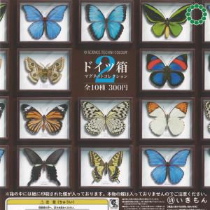 カプセルQミュージアム 福をよぶ フクロウ大全3【台紙】POP