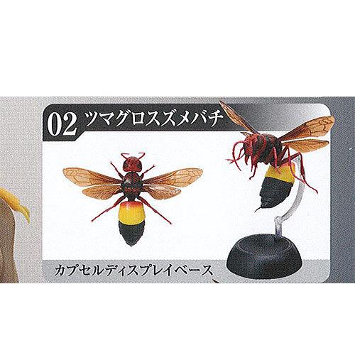 いきもの大図鑑 とっくりばち 2：ツマグロスズメバチ バンダイ ガチャポン ガチャガチャ ガシャポン