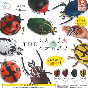 3D ファイル シリーズ THE てんとう虫 ＆ ハナムグリ 全4種セット スタンドストーンズ ガチ...
