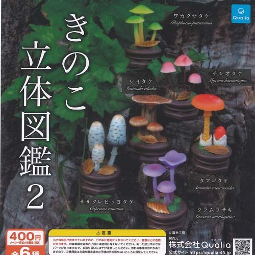 きのこ 立体図鑑 2 全6種+ディスプレイ台紙セット Qualia ガチャポン ガチャガチャ ガシャ...