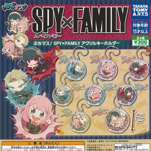 SPY×FAMILY スパイファミリー ピックキャラホログラム 缶バッジ
