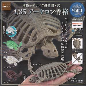 博物モデリング倶楽部 弐 1/35 アーケロン 骨格 全4種セット SO-TA ガチャポン ガチャガチャ ガシャポン