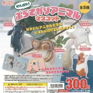 期間限定 予約商品】ベリエちゃん ナカムラくん レオパードぬいぐるみ