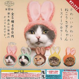 オンライン版 全3種 アゲハチョウ ディスプレイスタンドセット いきもの大図鑑アドバンス アゲハチョウ ディスプレイスタンド