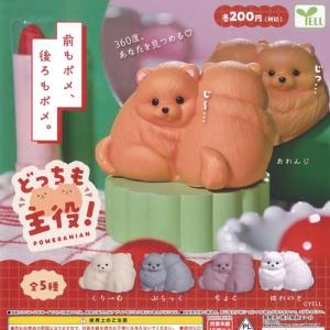 ぷよぷよ ぬいぐるみ 全4種セット ぷよぷよ ぬいぐるみ“アルル&カーバンクル&ウィッチ&ドラコ