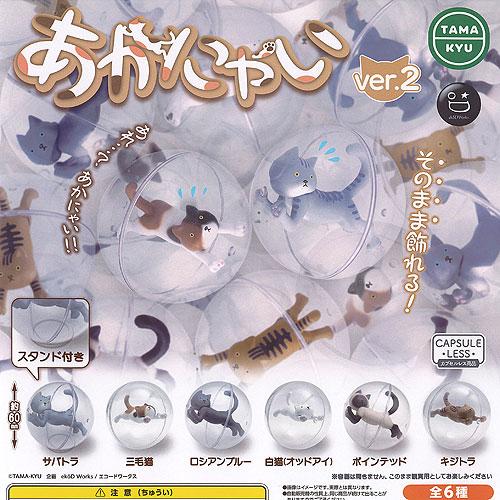 TAMA-KYU あかにゃい ver.2 全6種+ディスプレイ台紙セット ブシロード ガチャポン ガ...