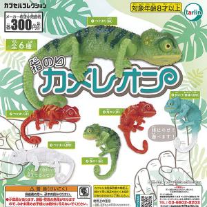 ネイチャーテクニカラー 小笠原 特装版 全6種セット ガチャ : 壱刻館