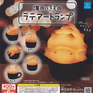 ポケットモンスター ゴーストタイプ すりぬけマグネット 全5種 キタン