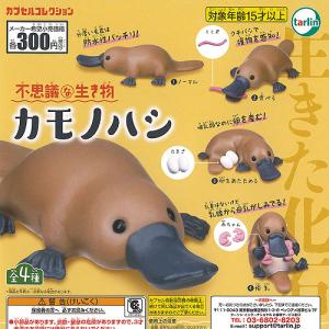 不思議 な 生き物 カモノハシ 全4種セット ターリンインターナショナル