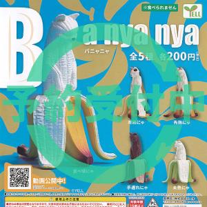 デュエル・マスターズ DMD-24 TCG マスターズ・クロニクル・デッキ