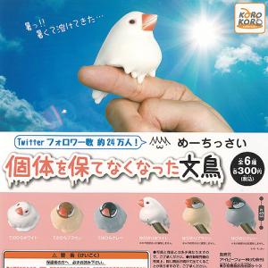 めーちっさい 個体を保てなくなった 文鳥 全6種セット