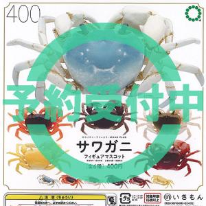 ヴァイスシュヴァルツ KMS/W133-055 15th Anniversary 陽子 (RR