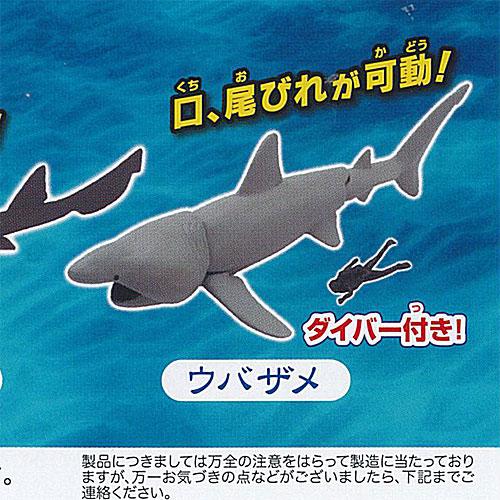 あそべる 生物フィギュア シリーズ 青き海の世界 ザ シャーク シロワニ あらわる 4：ウバザメ タ...