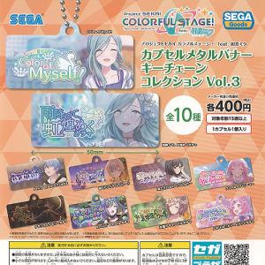 5月予約】 プロジェクトセカイ カラフルステージ! feat. 初音ミク ふわ