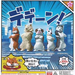 カイリュー】ポケモンキッズ メガリザードンX&メガリザードンY編