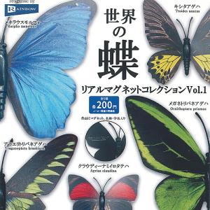世界の蝶 リアル マグネット コレクション Vol.1 全5種セット