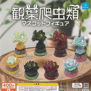 手のひらサイズの熱帯魚ミニフィギュアコレクション 全12種セット : 遊
