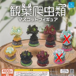 手のひらサイズの熱帯魚ミニフィギュアコレクション 全12種セット : 遊