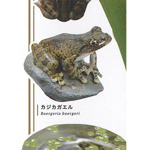 カエルの森工房 無事 カエル ストラップ 弐 山野草色 全4種セット 9月