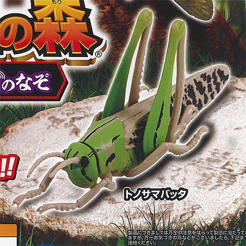 あそべる生物 フィギュア シリーズ 昆虫の森 怪音波のなぞ 3：トノサマバッタ タカラトミーアーツ ...