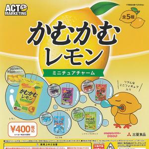 甲斐みのり監修 地元 アイス ミニチュア フィギュア 第4弾 全5種+