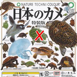 ネイチャーテクニカラー 日本 の カメ 特装版 / 5種セット いきもん ガチャポン ガチャガチャ ガシャポン