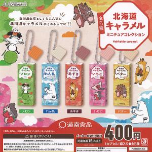 甲斐みのり監修 地元 アイス ミニチュア フィギュア 第4弾 全5種+