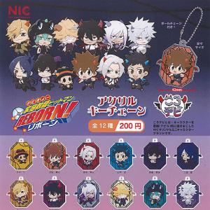 ころデビ かてきょー 家庭教師 ヒットマン REBORN リボーン Stand up