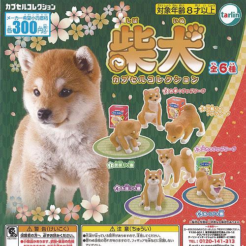 柴犬 カプセル コレクション 全6種セット 8月予約 ターリンインターナショナル ガチャポン ガチャ...