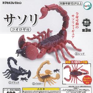 いきもの大図鑑 サソリ【レッドクロウエンペラースコーピオン小】単品