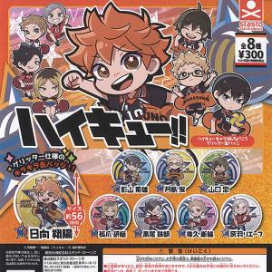 ハイキュー ラメグリッター 缶バッジ 全13種セット スタンドストーンズ